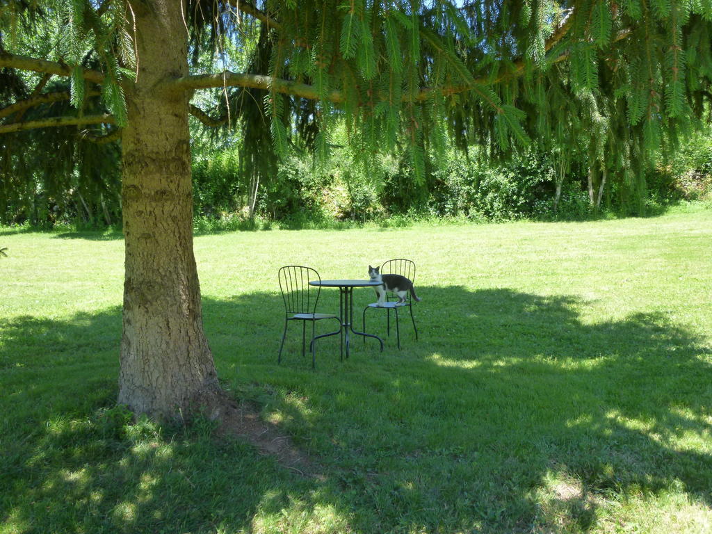 Au Mas De Gamet Bed & Breakfast Theminettes Exterior photo