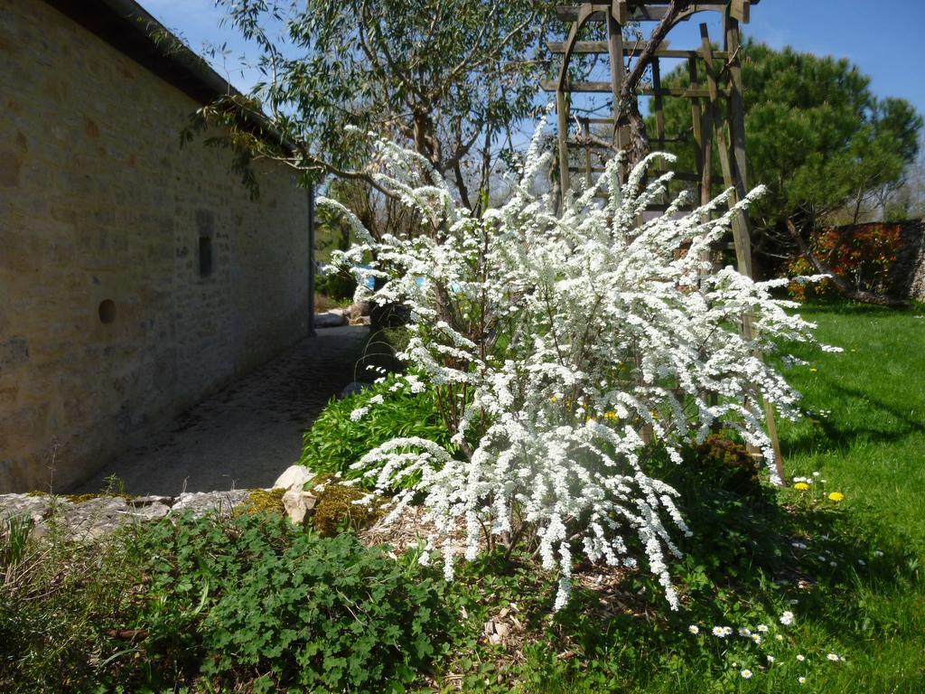 Au Mas De Gamet Bed & Breakfast Theminettes Exterior photo